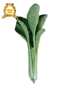 Tsoi Sim / Choy sum (菜心 / 小芥蘭) - big clump, round stems, good yield, disease resistance